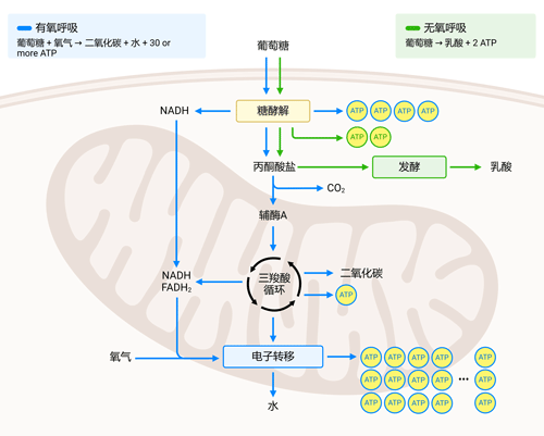微信图片_20250327143607.png